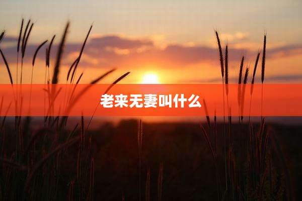 老来无妻叫什么