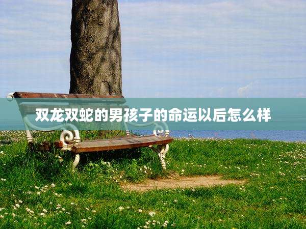 双龙双蛇的男孩子的命运以后怎么样
