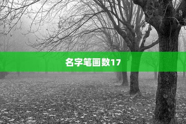 名字笔画数17