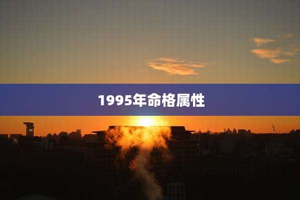 1995年命格属性