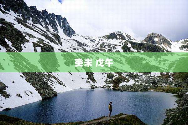 癸未 戊午