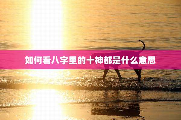 如何看八字里的十神都是什么意思