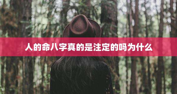 人的命八字真的是注定的吗为什么
