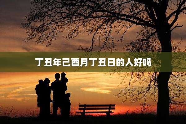 丁丑年己酉月丁丑日的人好吗