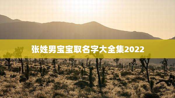 张姓男宝宝取名字大全集2022