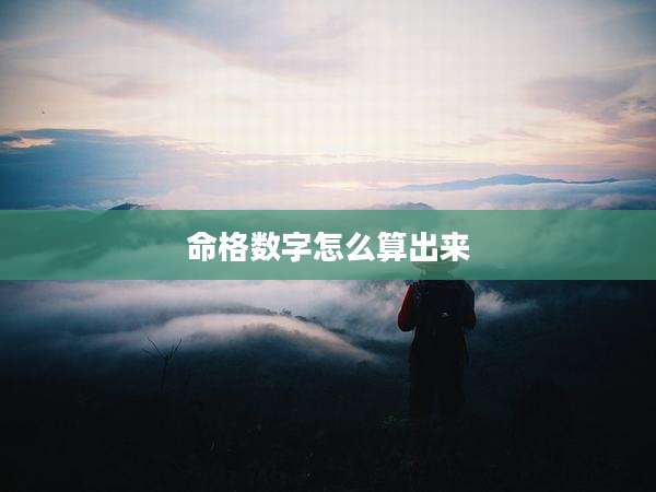 命格数字怎么算出来