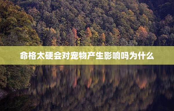 命格太硬会对宠物产生影响吗为什么