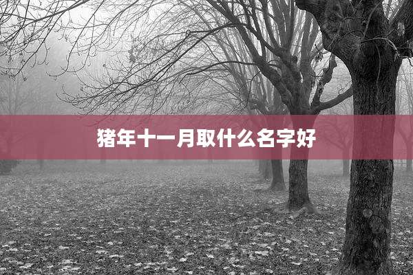 猪年十一月取什么名字好