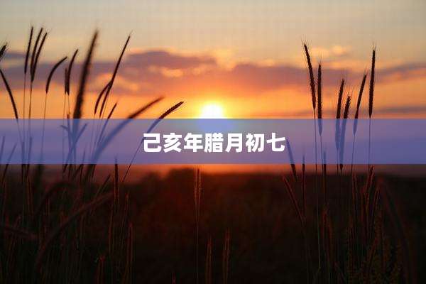 己亥年腊月初七