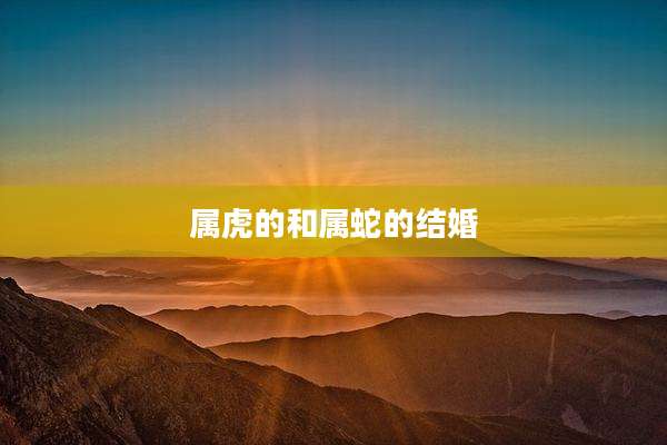 属虎的和属蛇的结婚