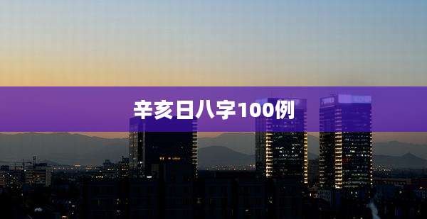 辛亥日八字100例