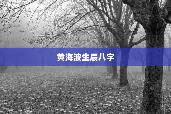 黄海波生辰八字
