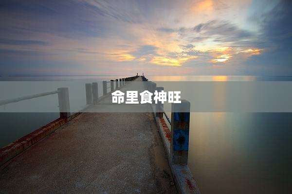 命里食神旺