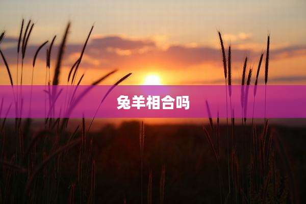 兔羊相合吗