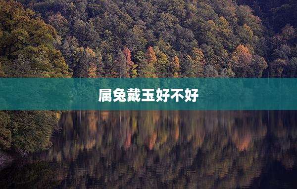 属兔戴玉好不好