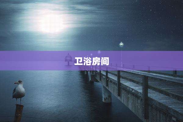 卫浴房间