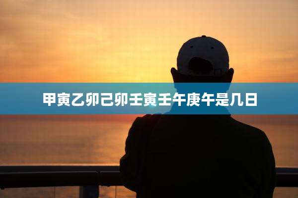 甲寅乙卯己卯壬寅壬午庚午是几日