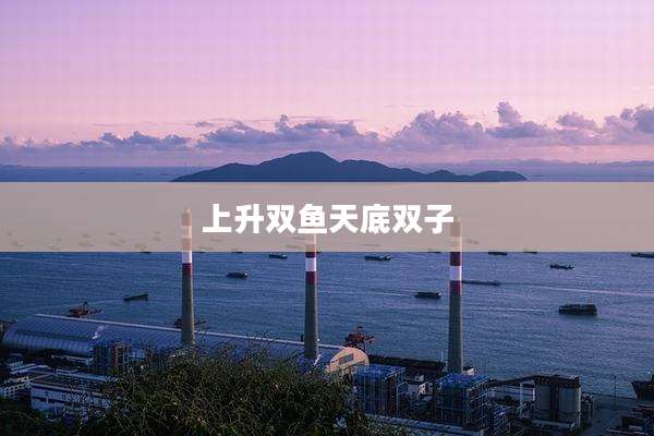 上升双鱼天底双子