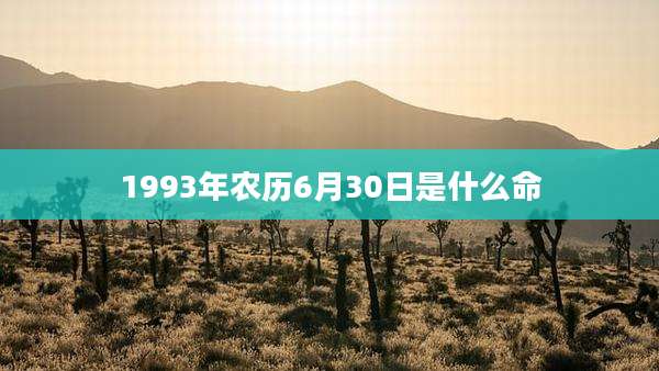 1993年农历6月30日是什么命