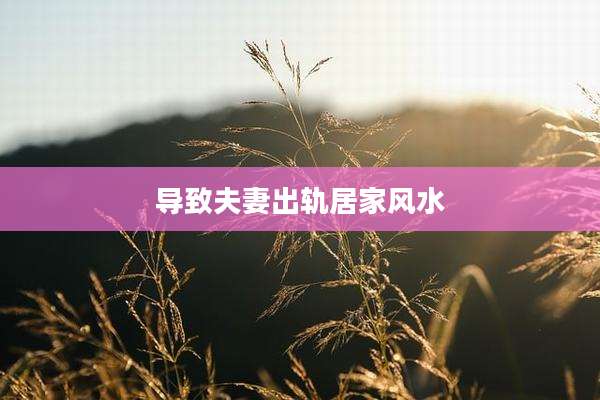 导致夫妻出轨居家风水