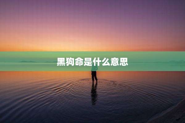 黑狗命是什么意思