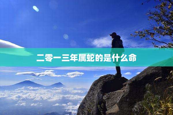 二零一三年属蛇的是什么命