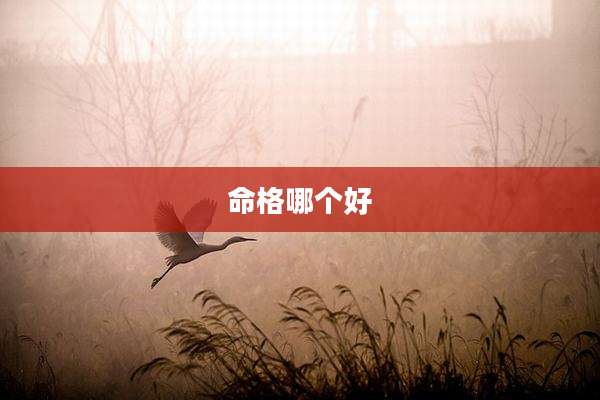 命格哪个好
