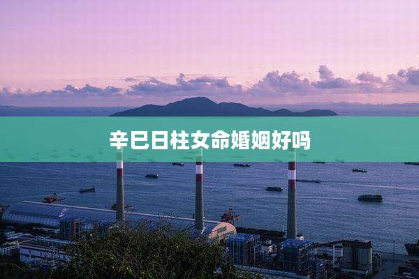 辛巳日柱女命婚姻好吗