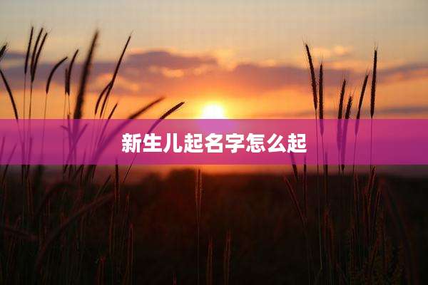 新生儿起名字怎么起
