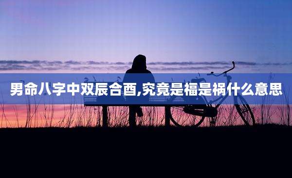 男命八字中双辰合酉,究竟是福是祸什么意思
