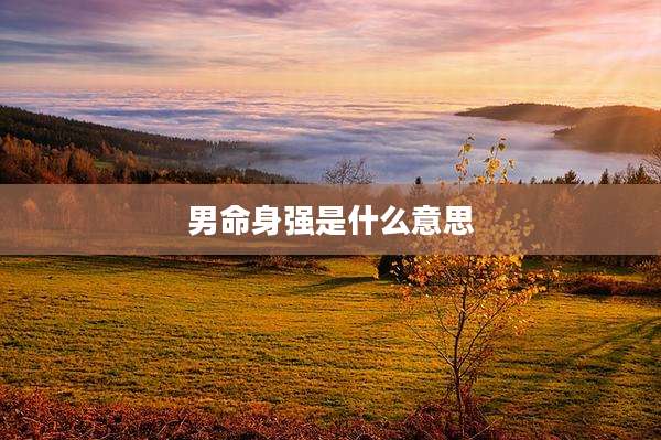 男命身强是什么意思