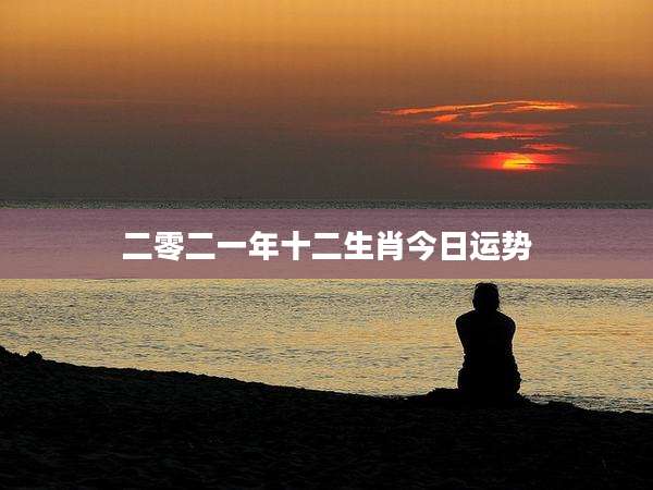 二零二一年十二生肖今日运势