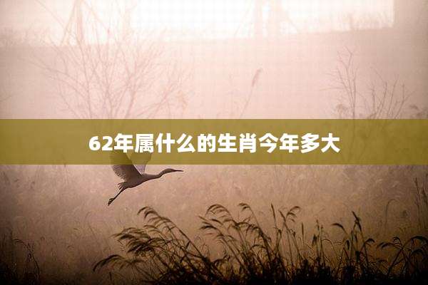 62年属什么的生肖今年多大