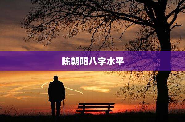 陈朝阳八字水平