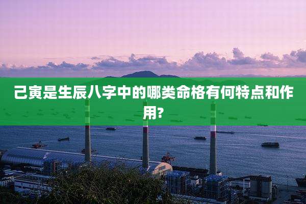 己寅是生辰八字中的哪类命格有何特点和作用?