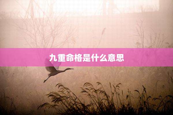 九重命格是什么意思