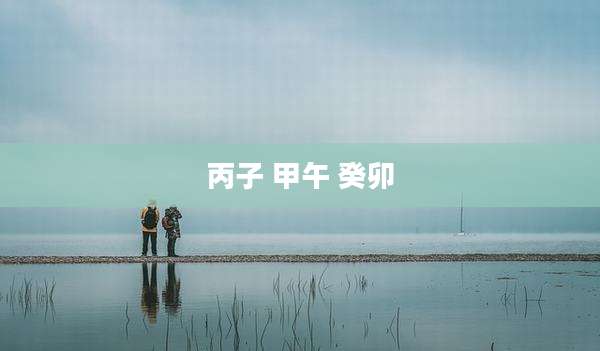 丙子 甲午 癸卯