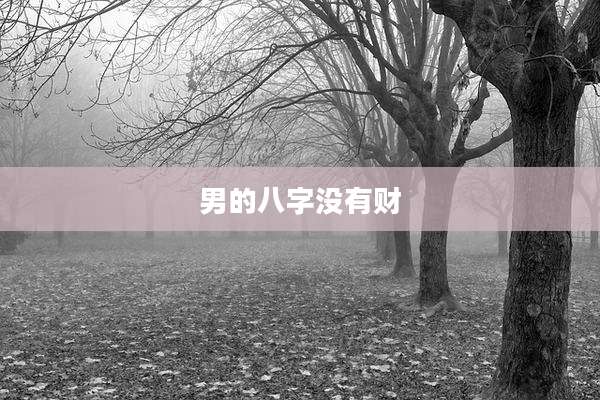 男的八字没有财