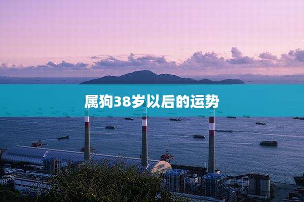 属狗38岁以后的运势