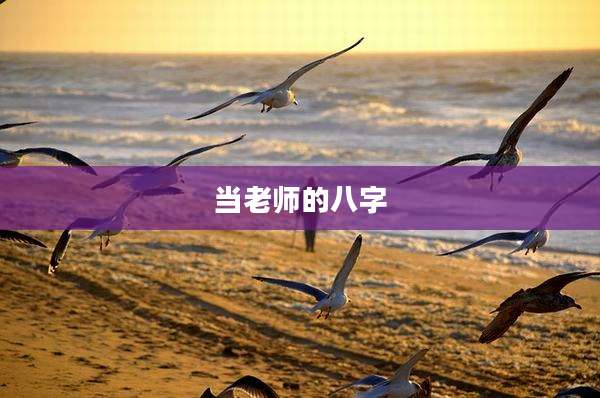 当老师的八字