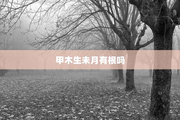 甲木生未月有根吗