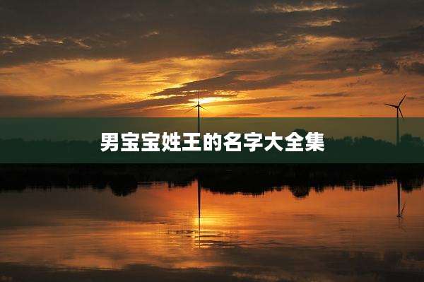 男宝宝姓王的名字大全集