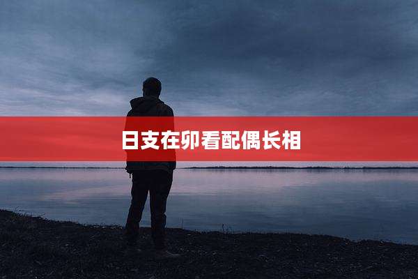 日支在卯看配偶长相