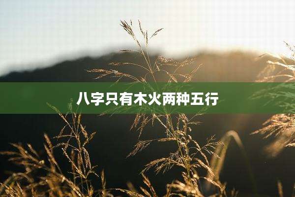 八字只有木火两种五行