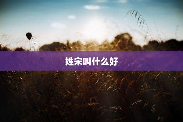 姓宋叫什么好