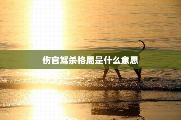 伤官驾杀格局是什么意思