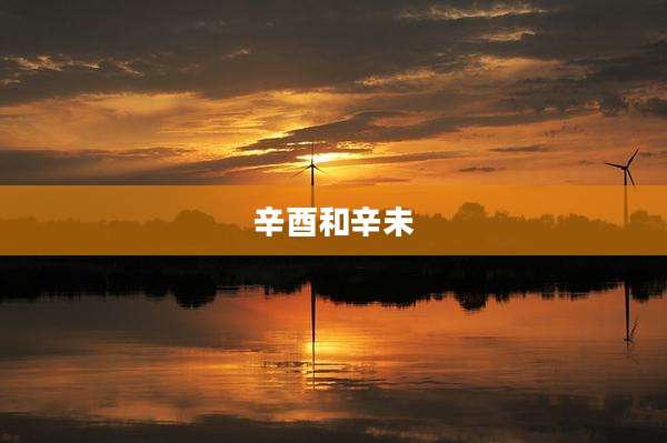 辛酉和辛未