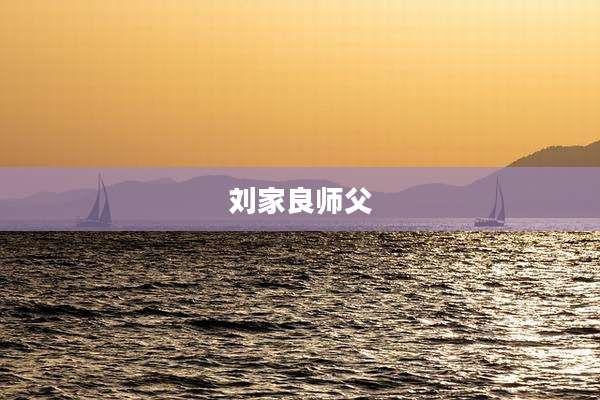刘家良师父
