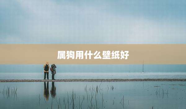 属狗用什么壁纸好