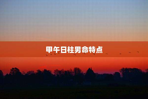 甲午日柱男命特点